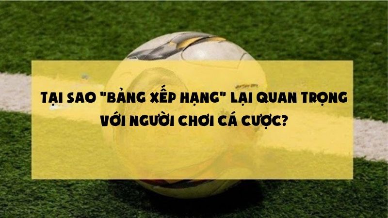 Cập Nhật Bảng Xếp Hạng Mới Nhất – Ai Thăng Hoa, Ai Xuống Hạng?