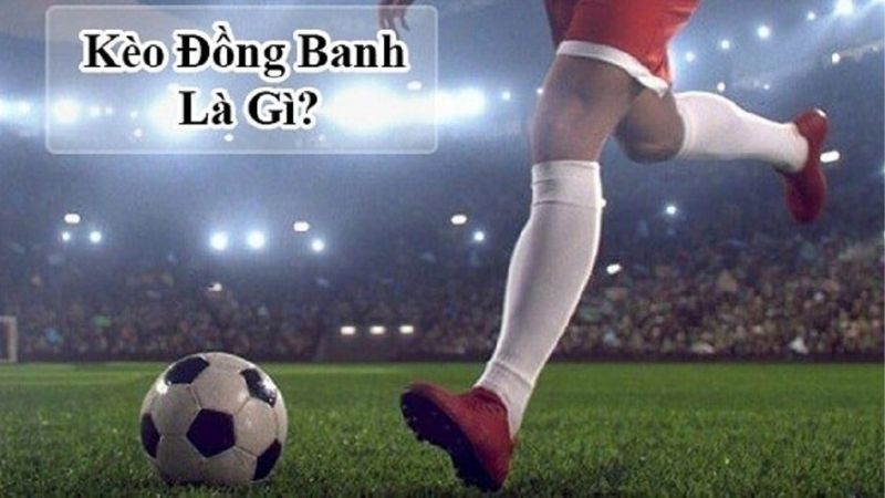 Kèo Đồng Banh Là Gì? Vì Sao Dân Cá Cược Ưa Chuộng Loại Kèo Này?