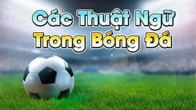 Kèo Nhà Cái – Cập Nhật Tỷ Lệ Chuẩn Hôm Nay