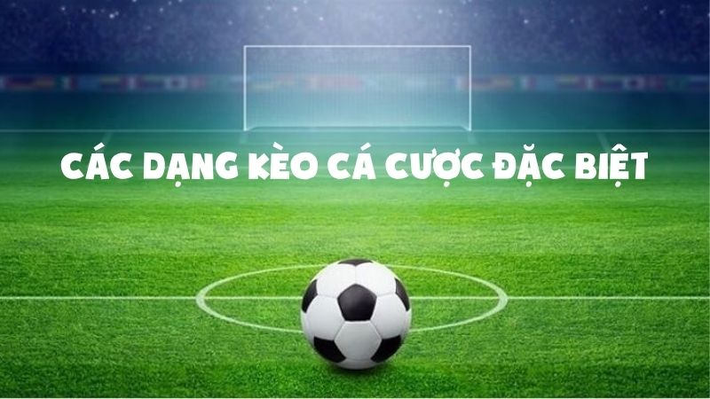 Kèo Nhà Cái – Cập Nhật Tỷ Lệ Chuẩn Hôm Nay