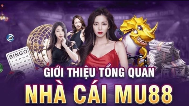 MU88 – Nhà cái tỷ lệ cược top đầu thị trường